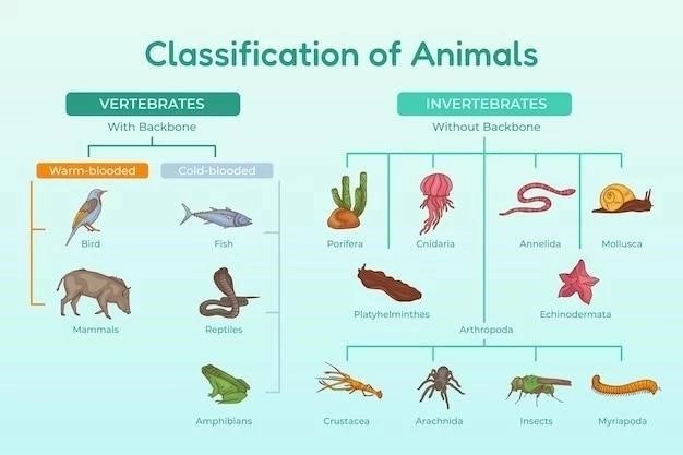 Dicotylédones : les plantes à feuilles complexes